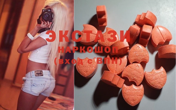 индика Верхний Тагил
