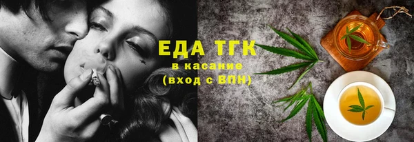 индика Верхний Тагил