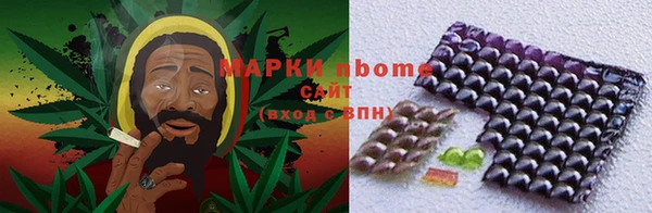 индика Верхний Тагил